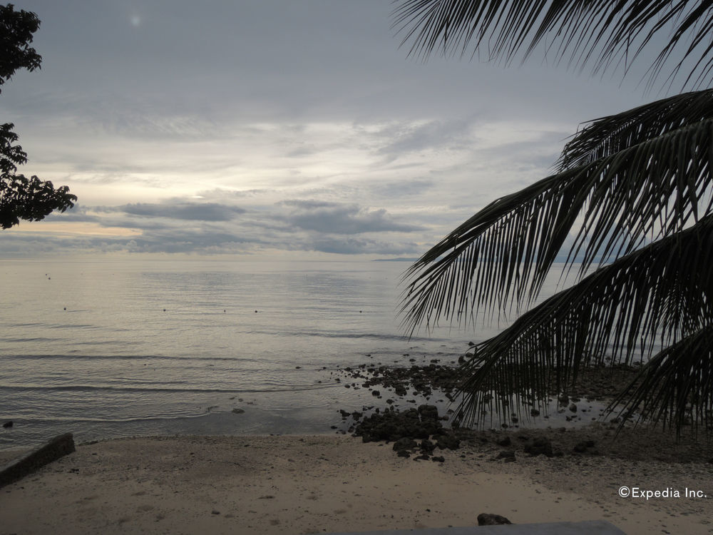 Anton's Beach Resort Oslob Exterior foto
