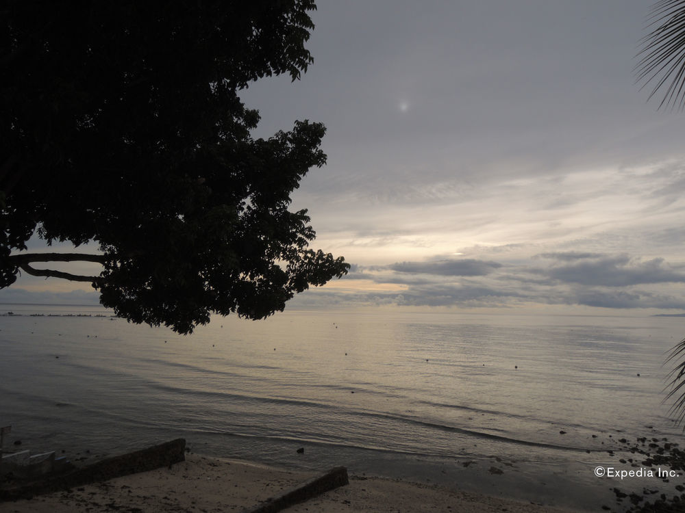 Anton's Beach Resort Oslob Exterior foto